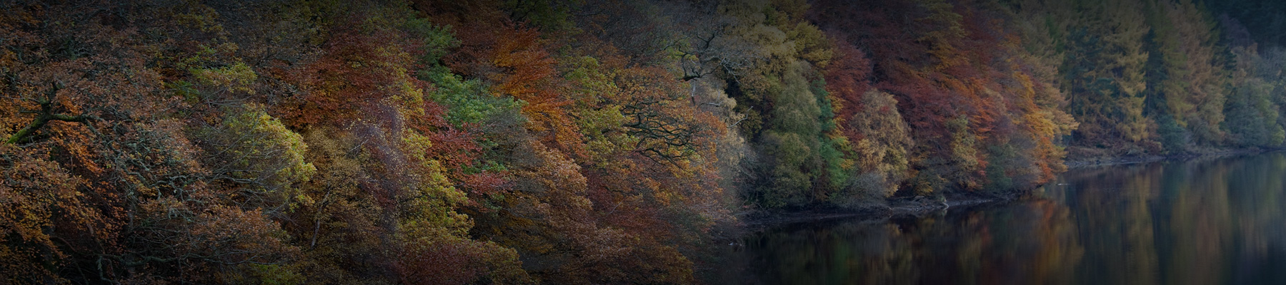 header background image