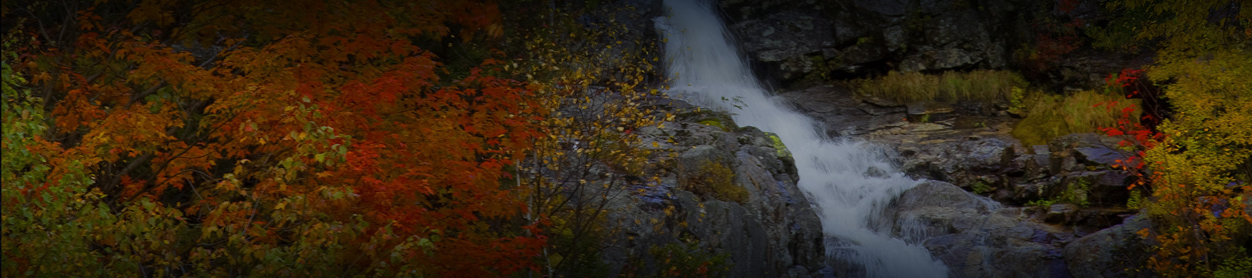 header background image