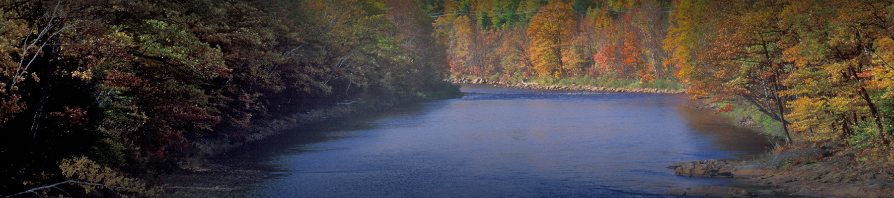 header background image