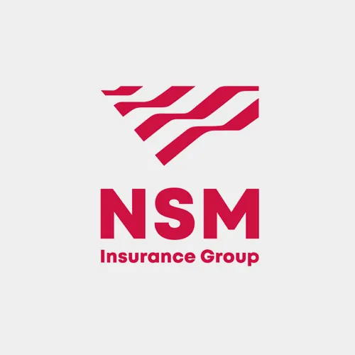 NSM Insurance Group - logo